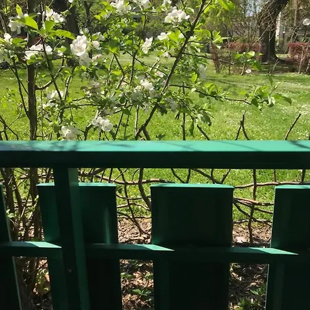 Séjour chez l'habitant Gva Bernex - Homestay Tramwaytpg14 - Viarhôna *